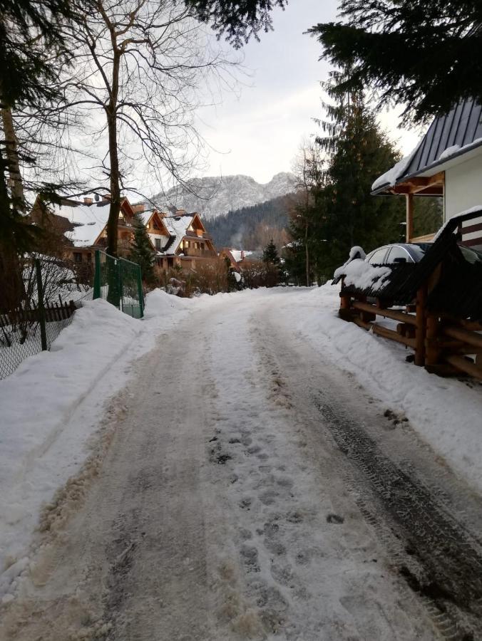 Apartamenty Villa Ski-Bowki Zakopane Luaran gambar