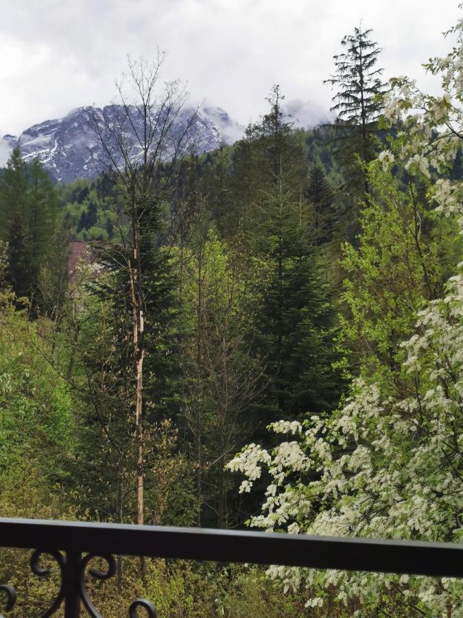 Apartamenty Villa Ski-Bowki Zakopane Luaran gambar